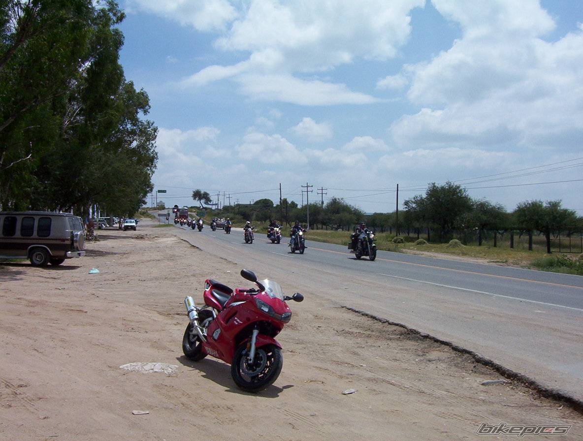 Photo 238829