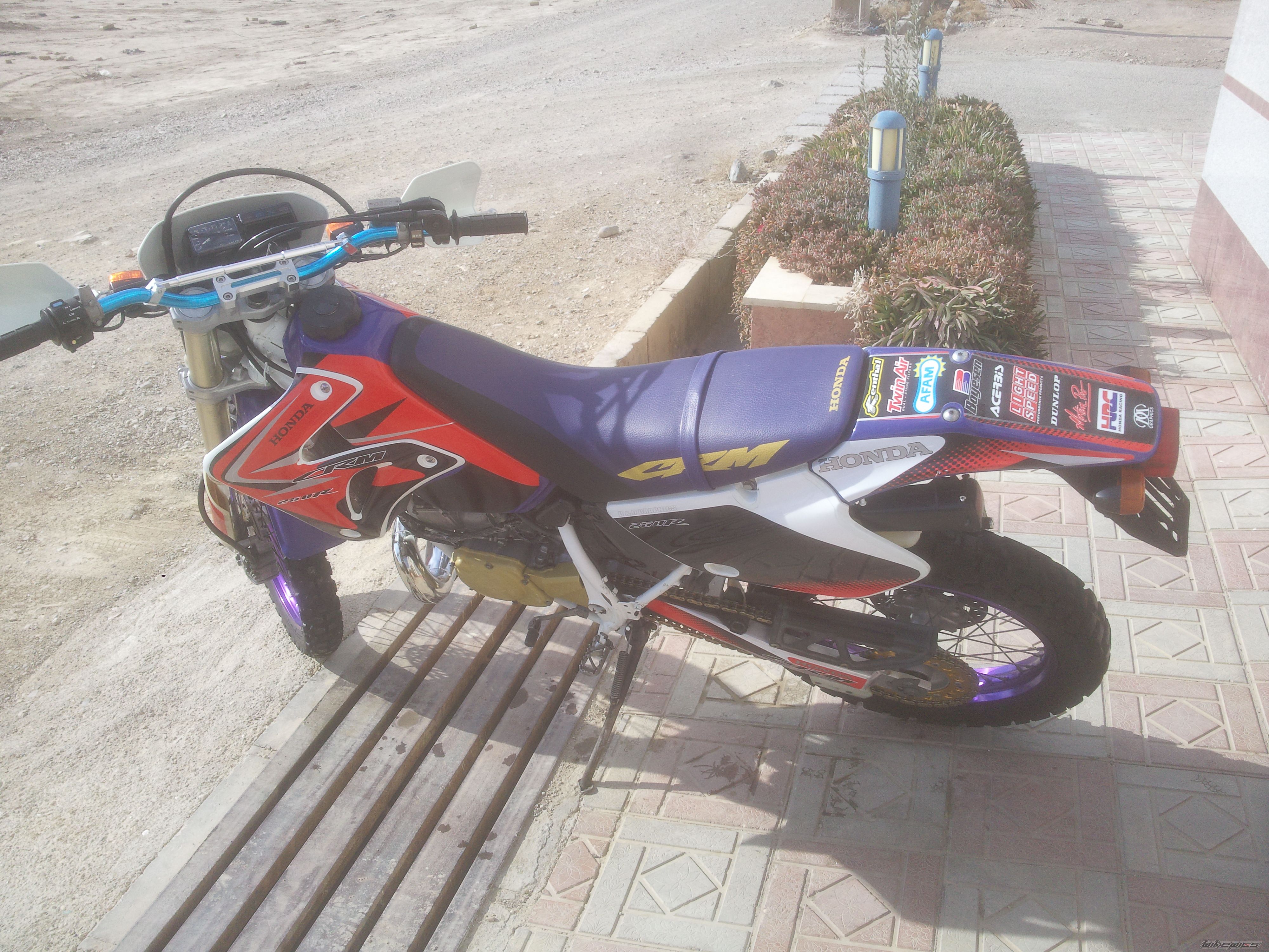 Photo 2388290