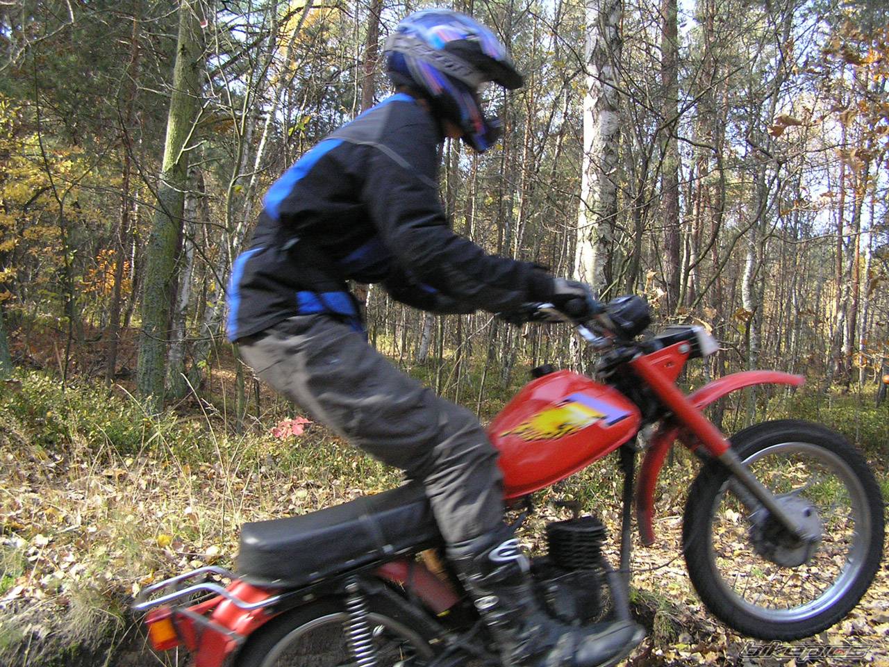 Photo 238830