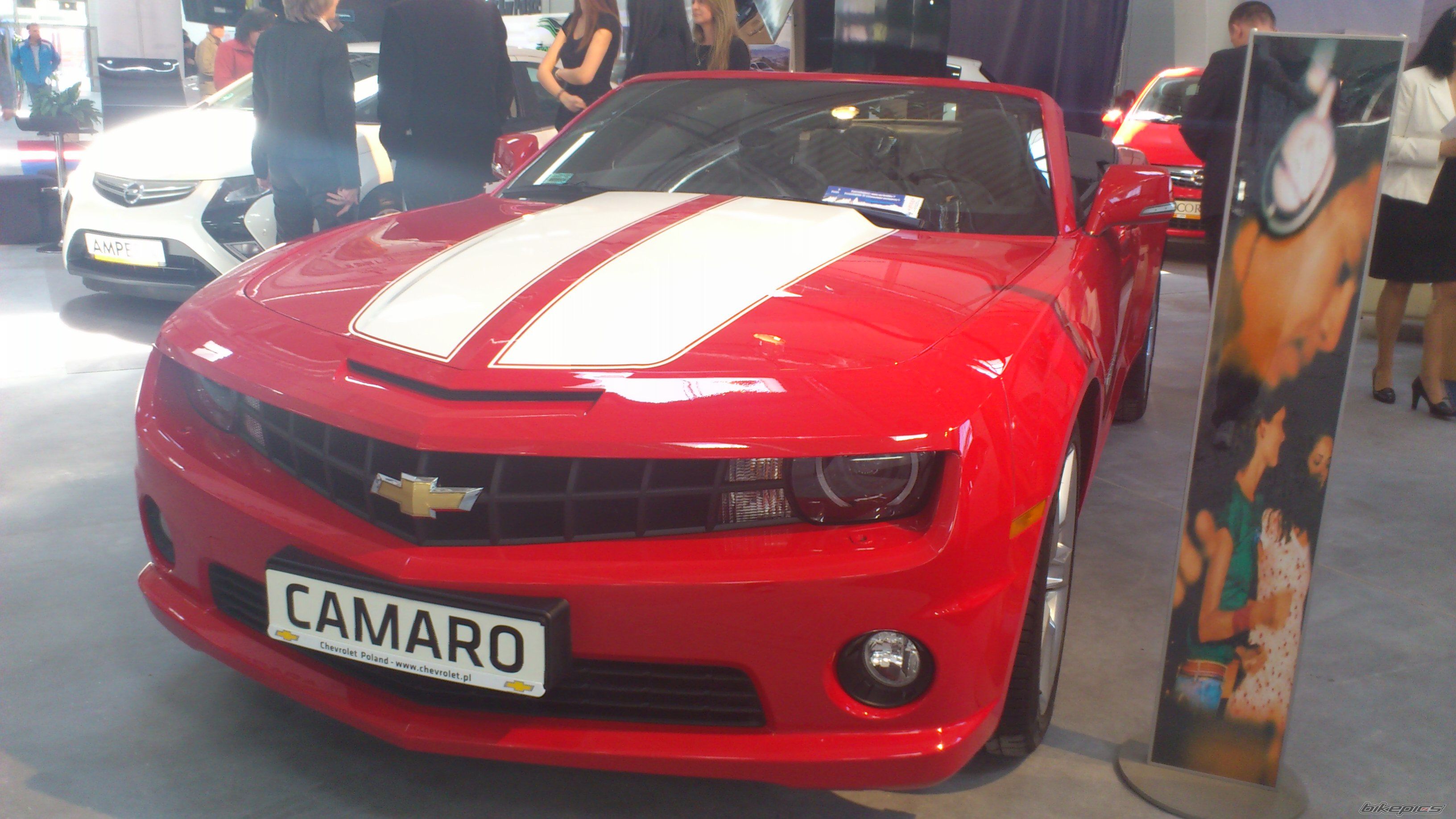 Photo 2388307