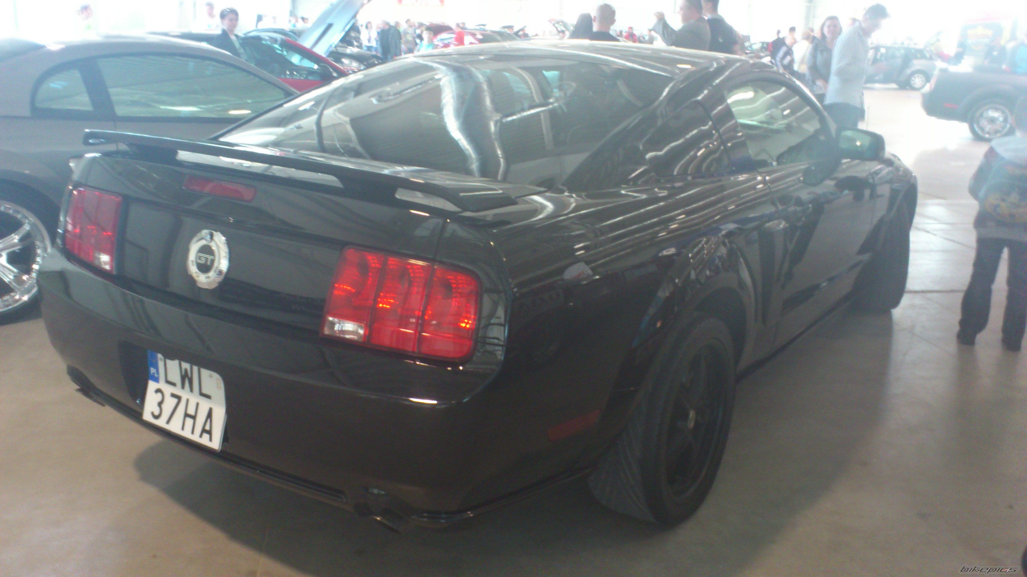 Photo 2388365