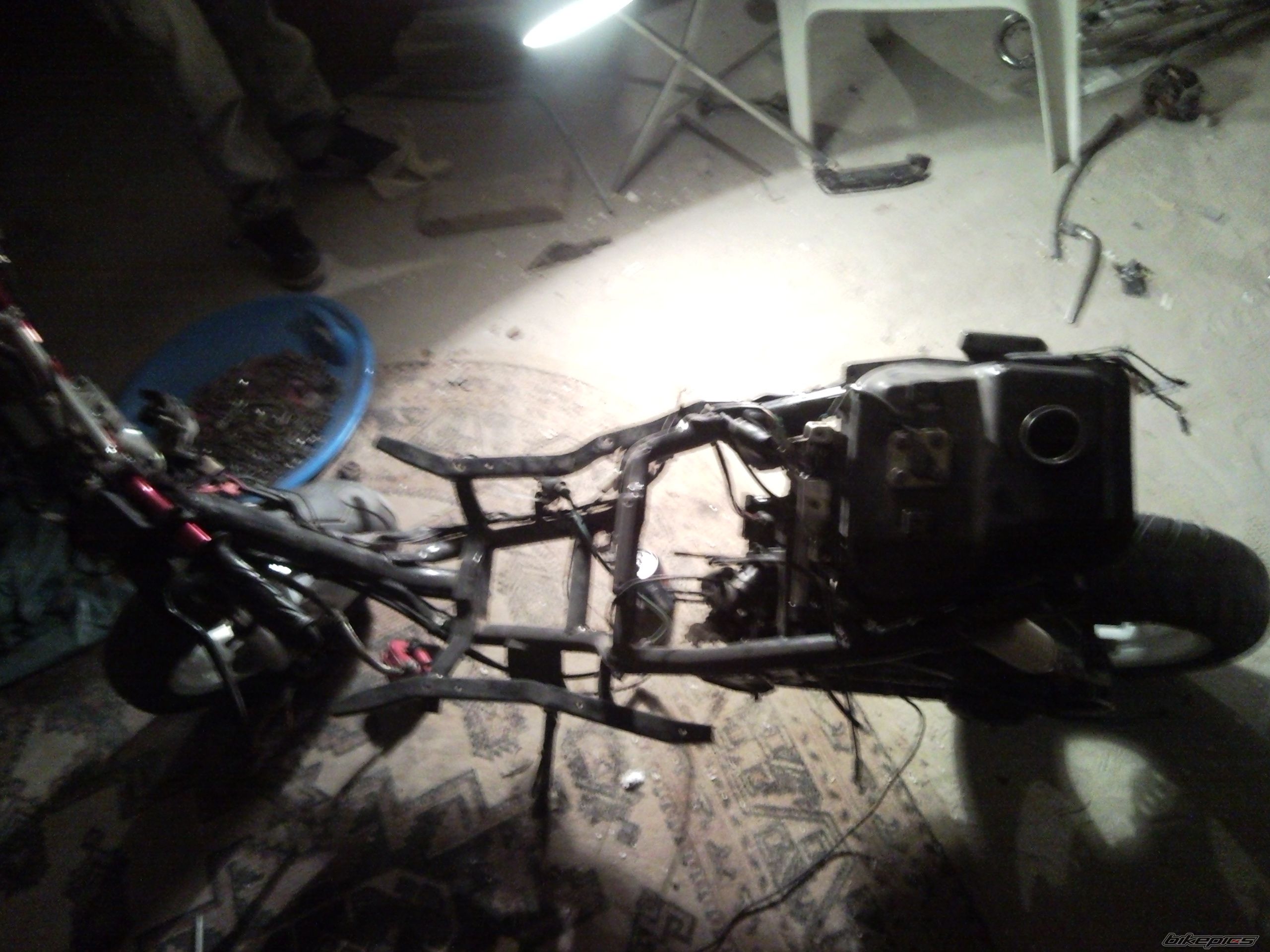 Photo 2388408