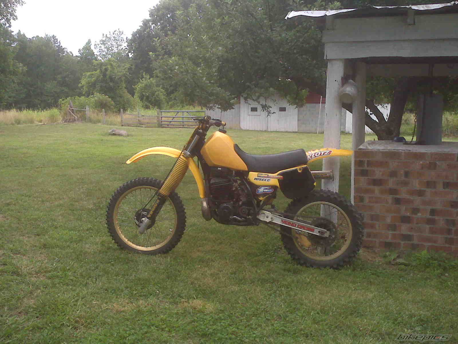 Photo 2388449