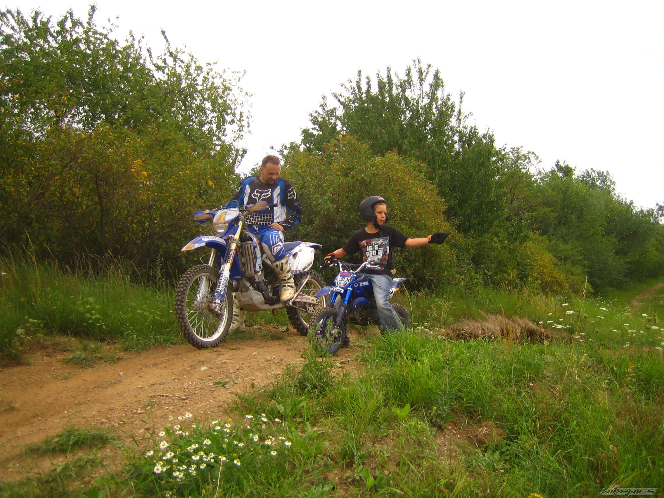 Photo 2388495