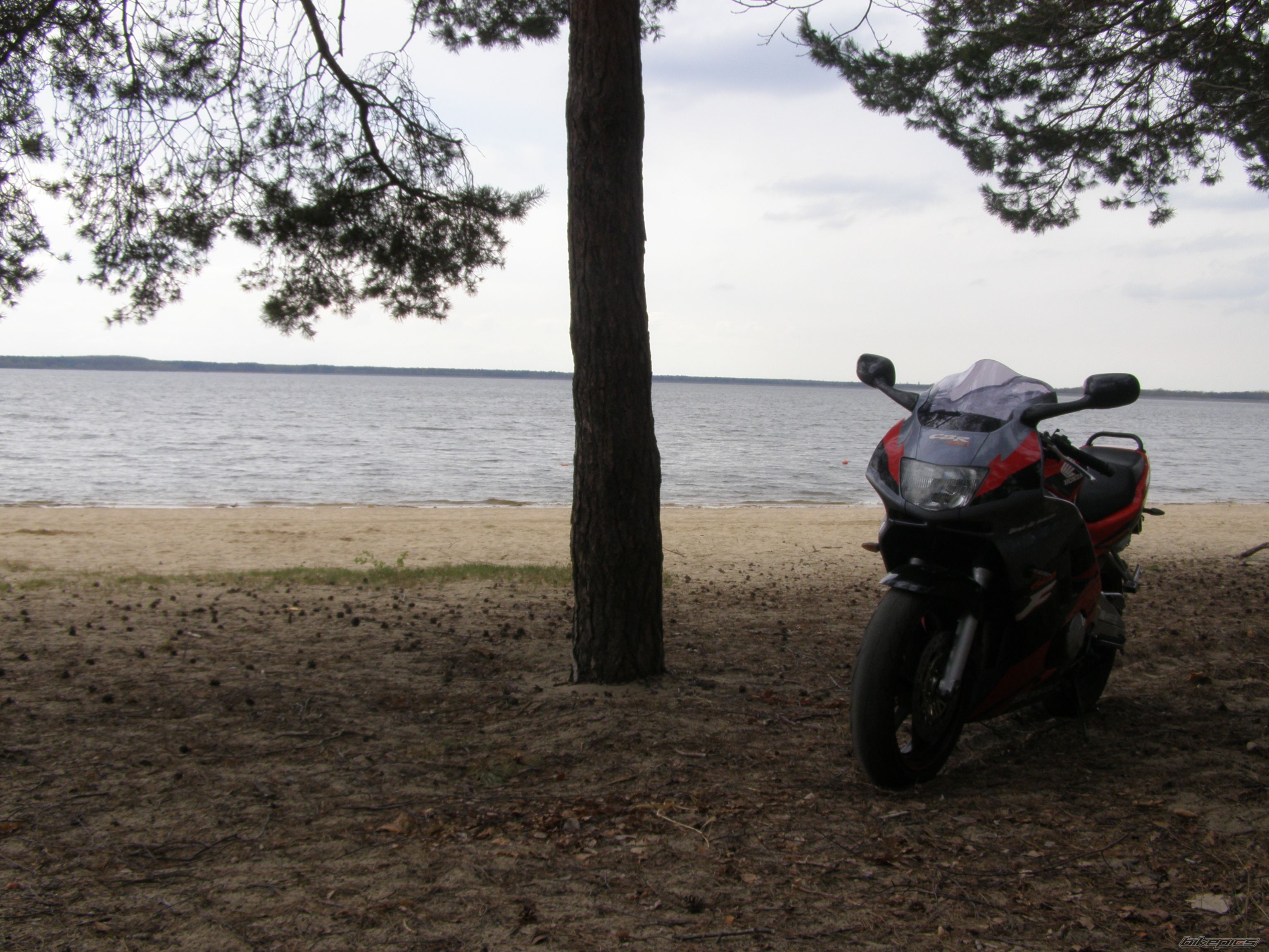 Bike Photo 2388497