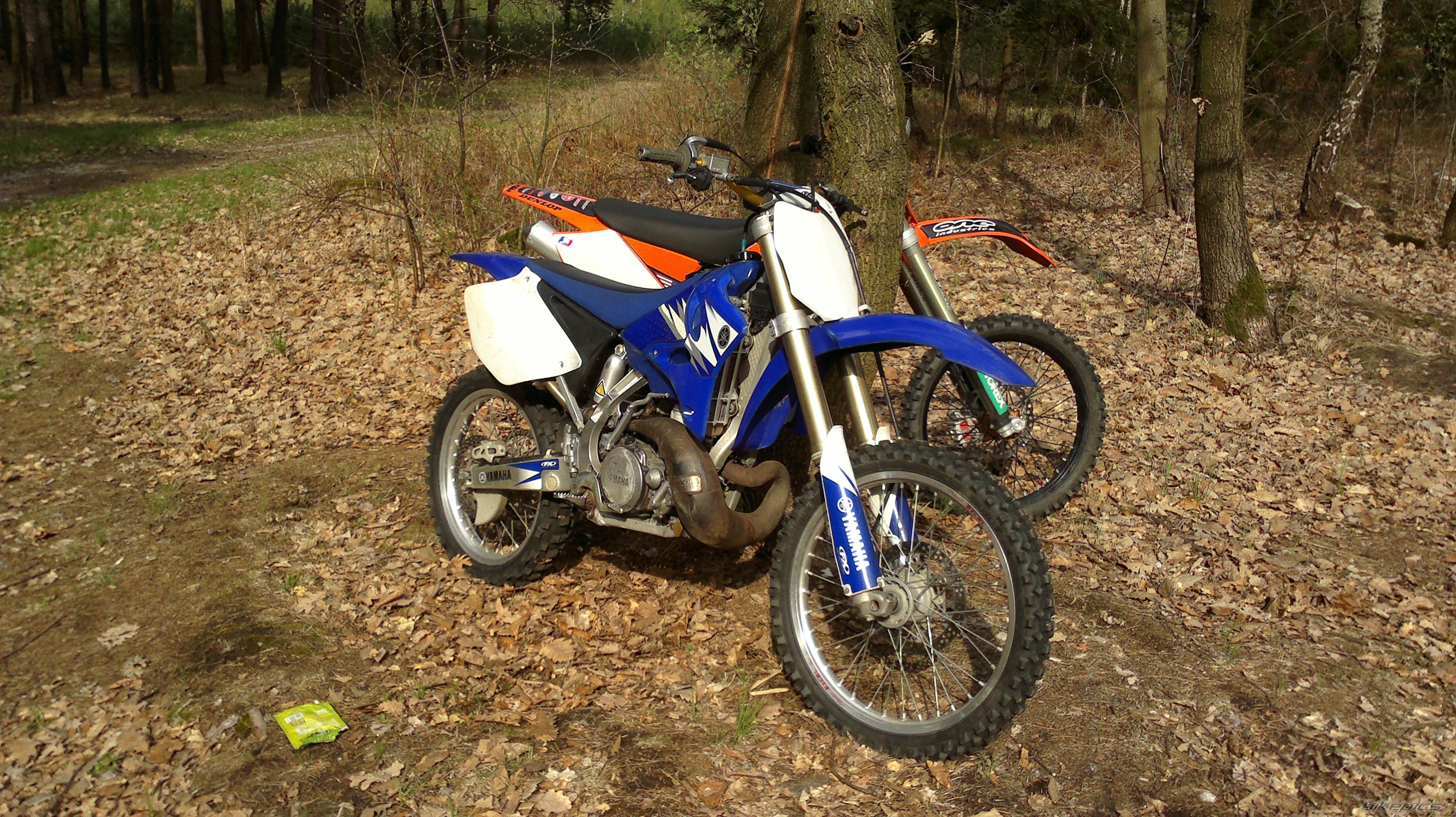 Photo 2388510