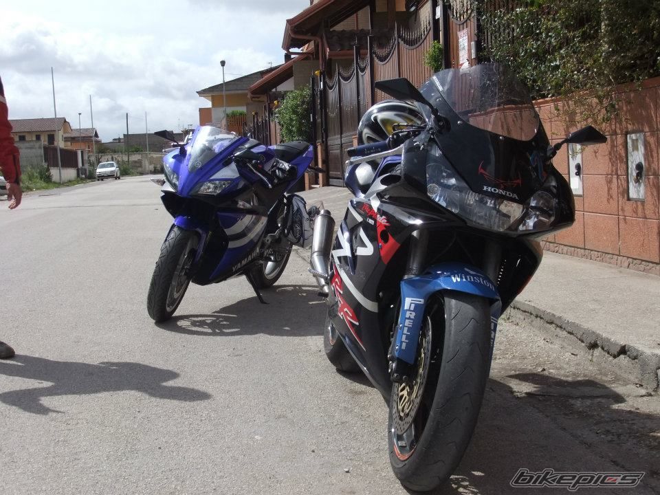 Photo 2388565