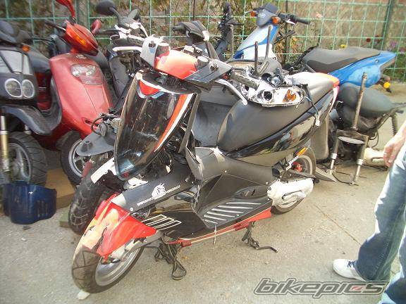 Photo 238864