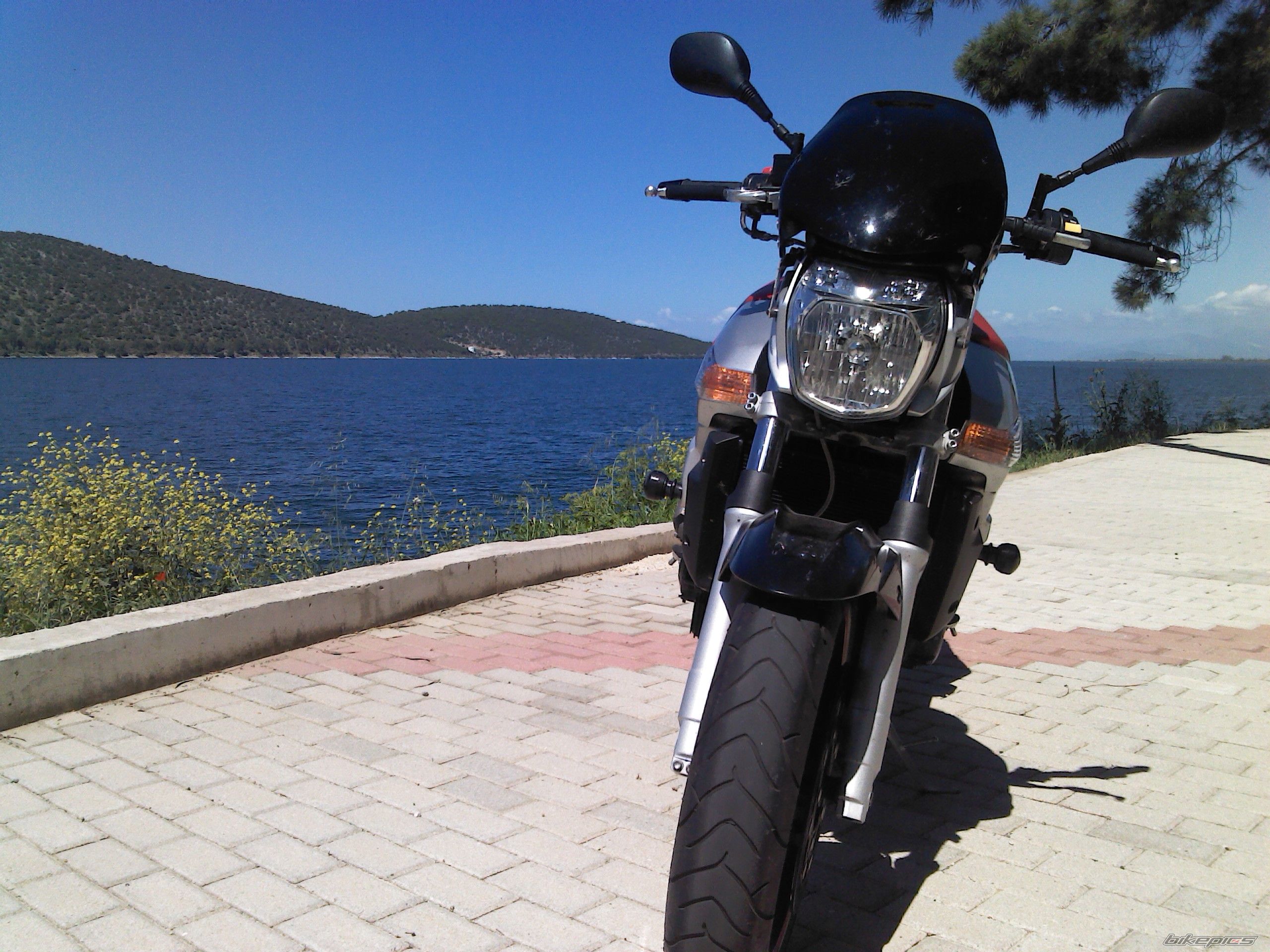 Photo 2388650