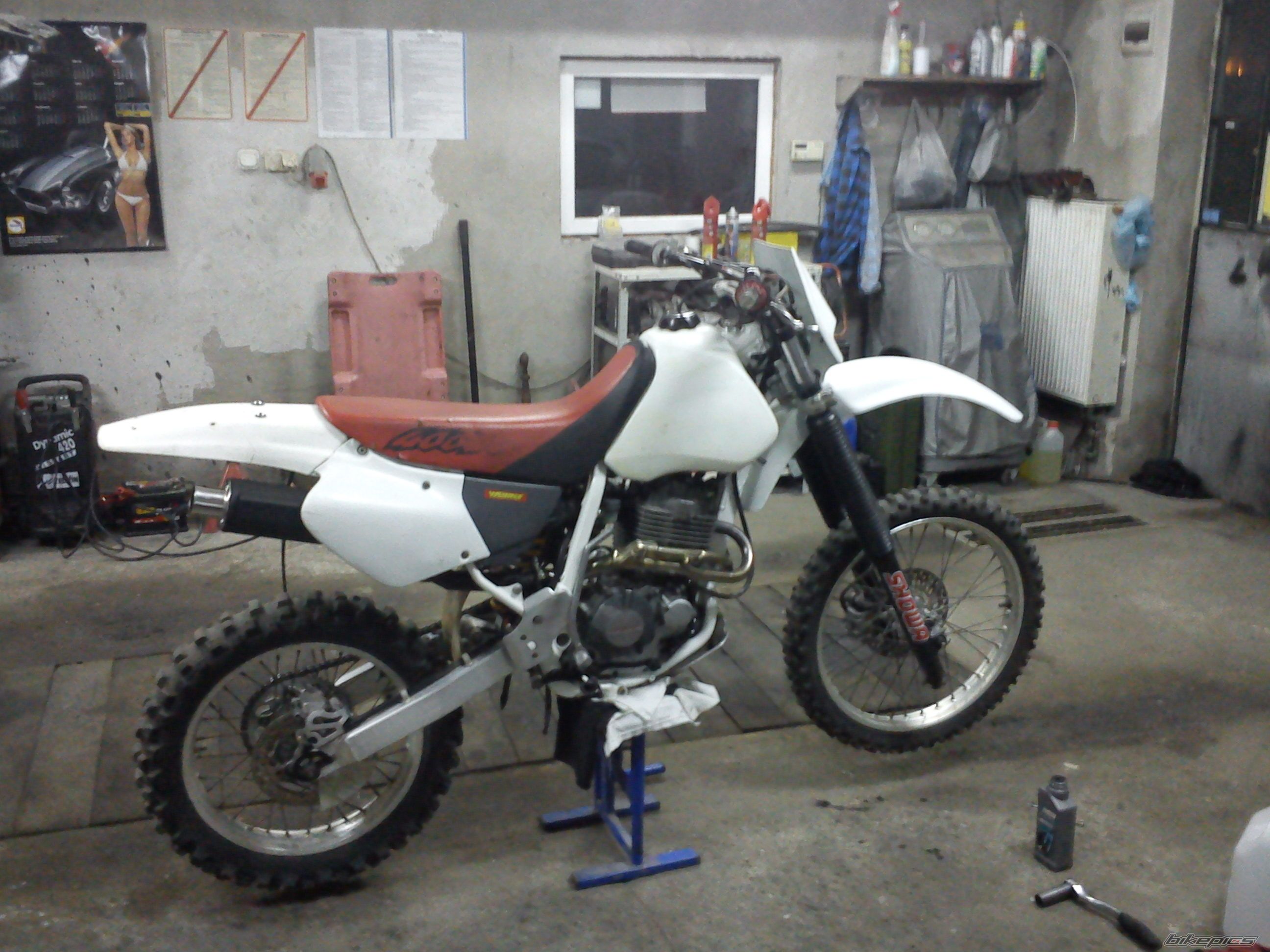 Bike Photo 2388683