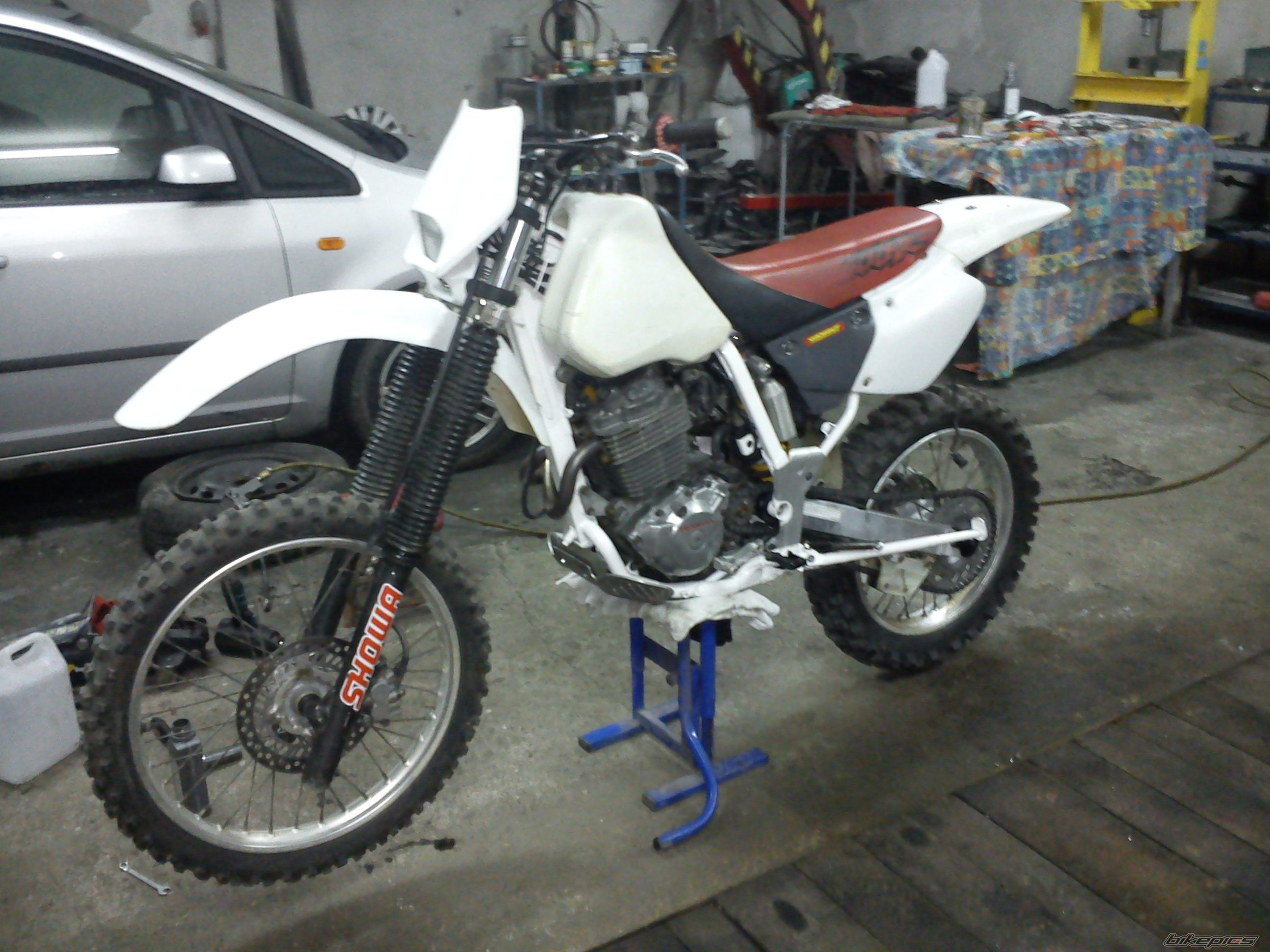 Bike Photo 2388684