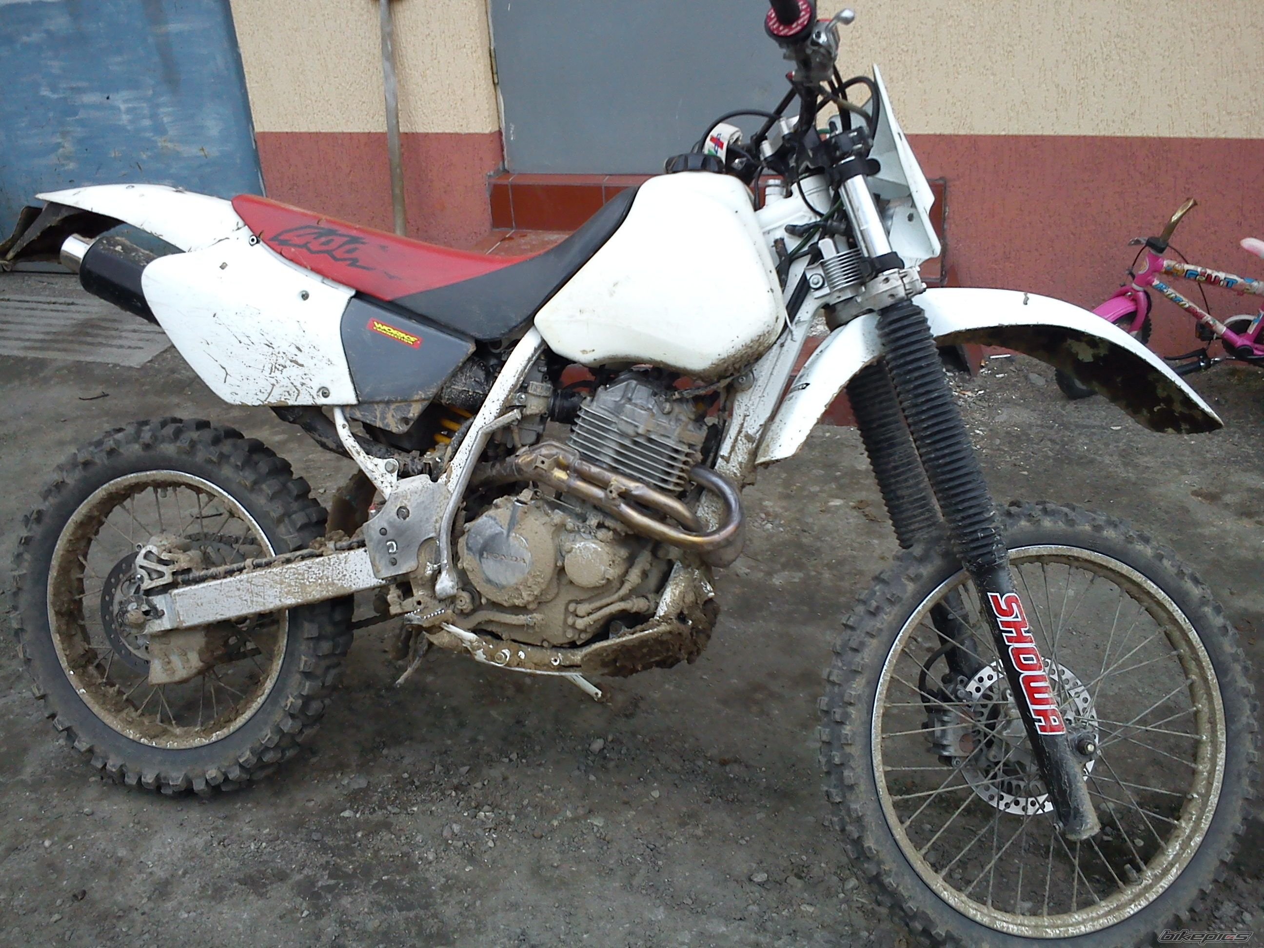 Bike Photo 2388710