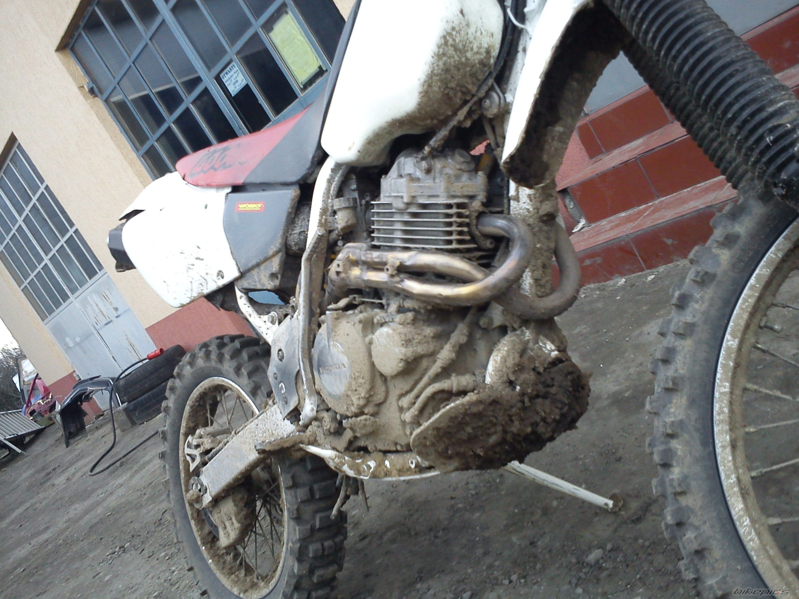 Bike Photo 2388712