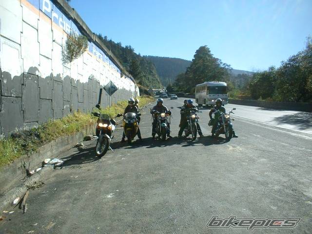 Photo 238878