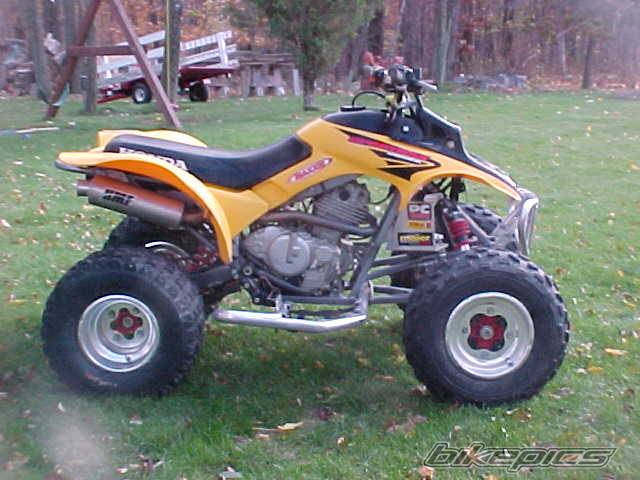 Photo 238881