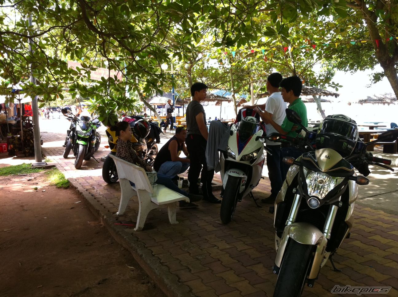 Photo 2388839