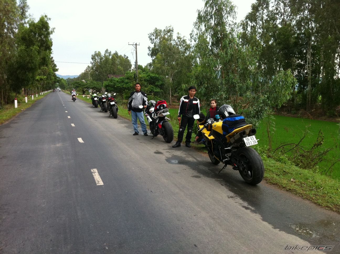 Photo 2388846