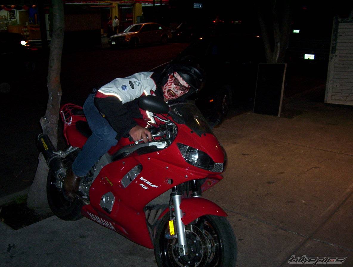 Photo 238892