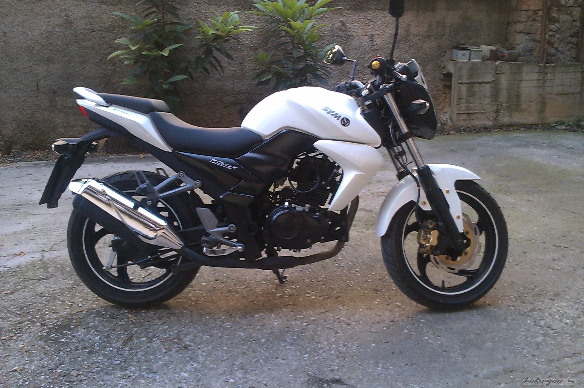 Photo 2388993