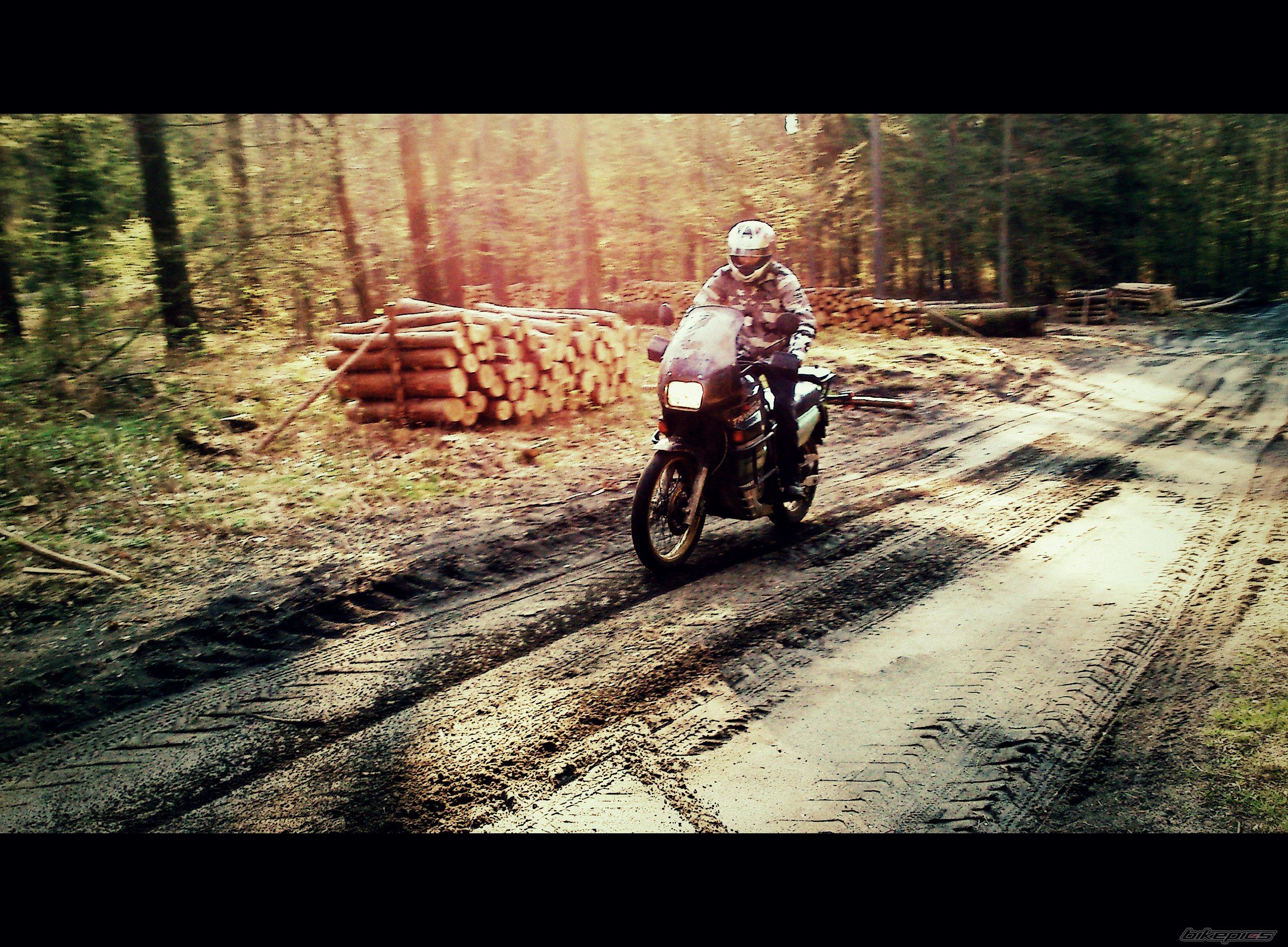 Bike Photo 2389185