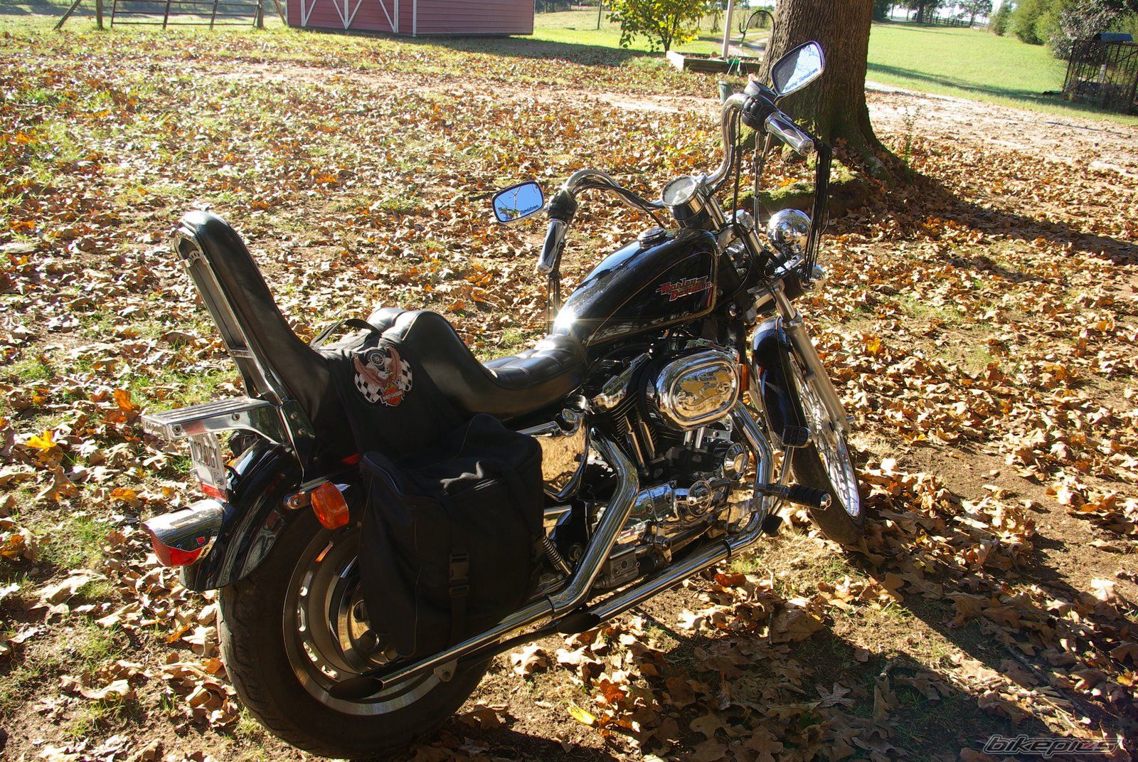 Photo 2389201