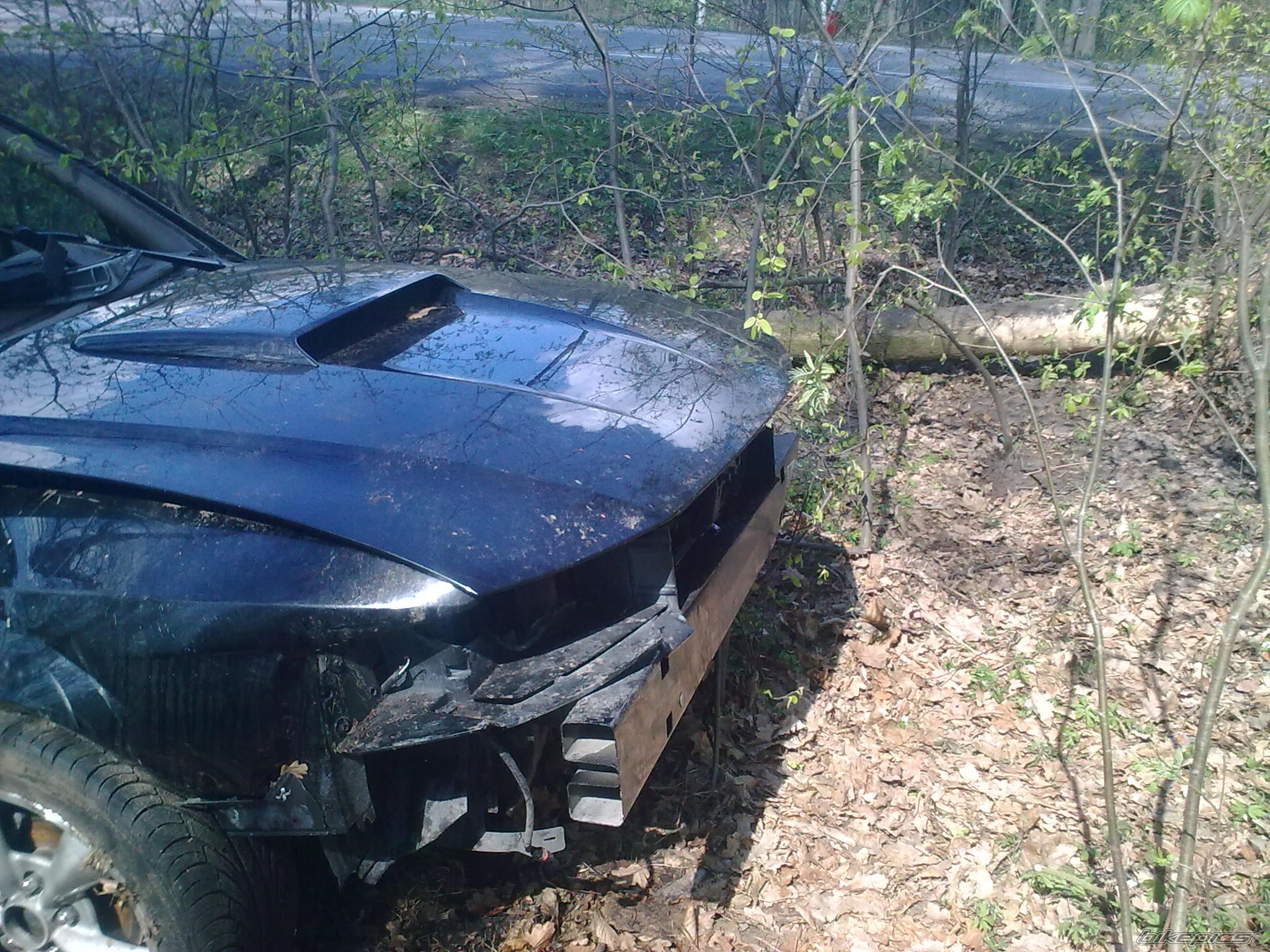 Photo 2389281