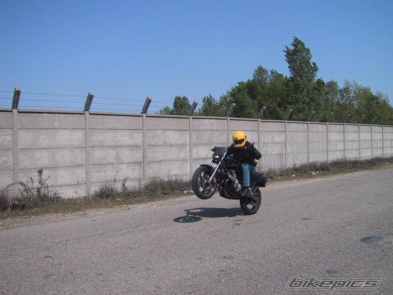 Photo 23893