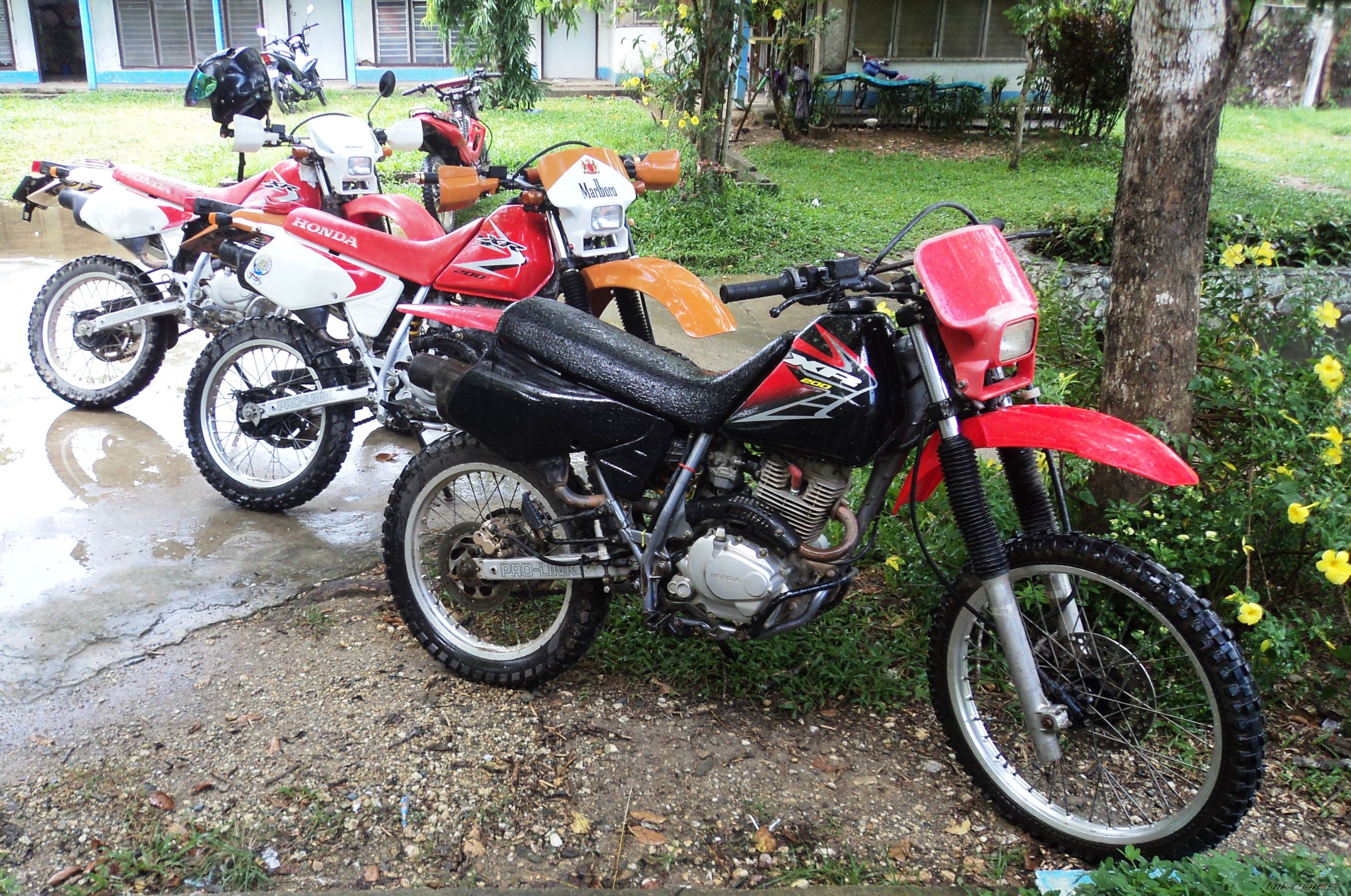 Photo 2389383