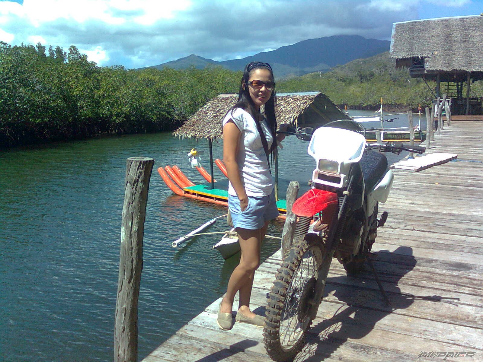 Photo 2389385