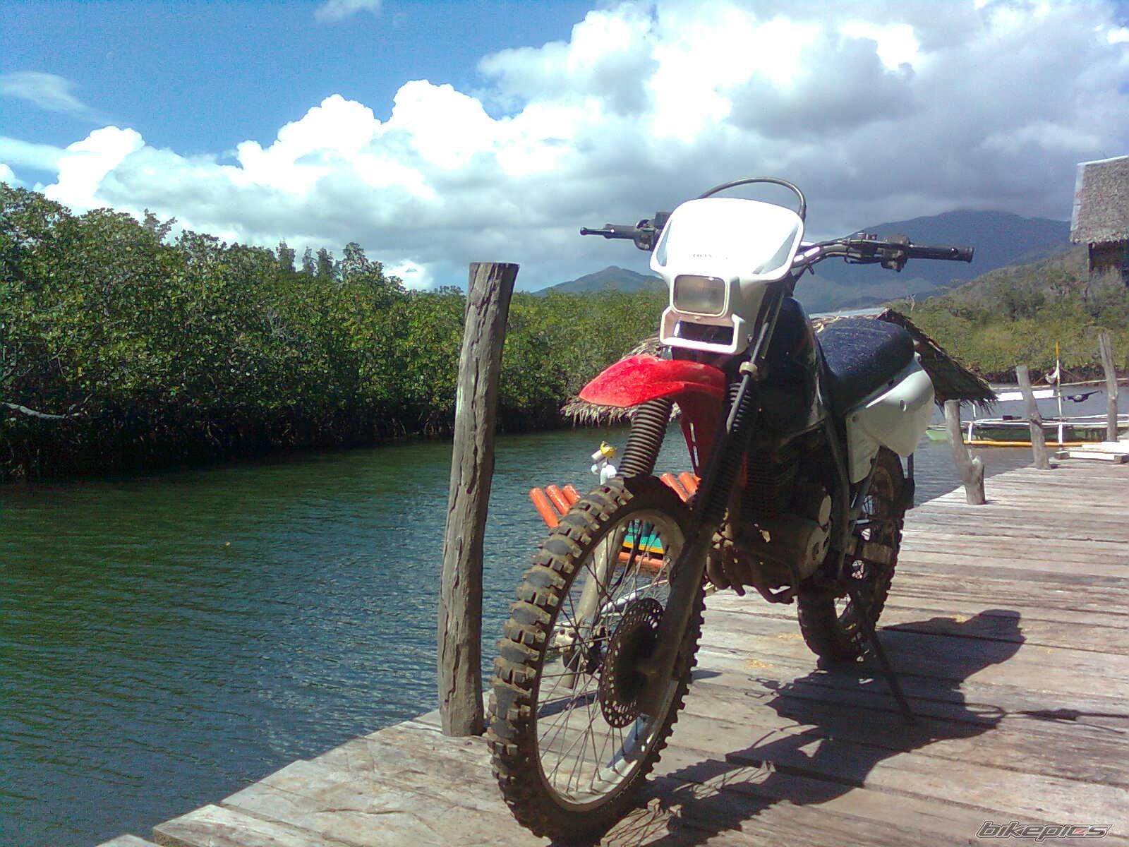 Photo 2389386