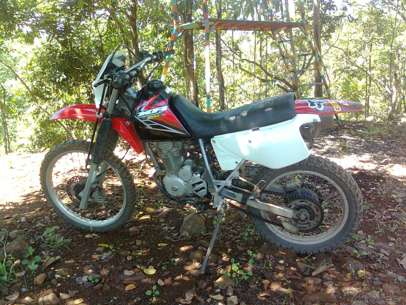 Photo 2389387