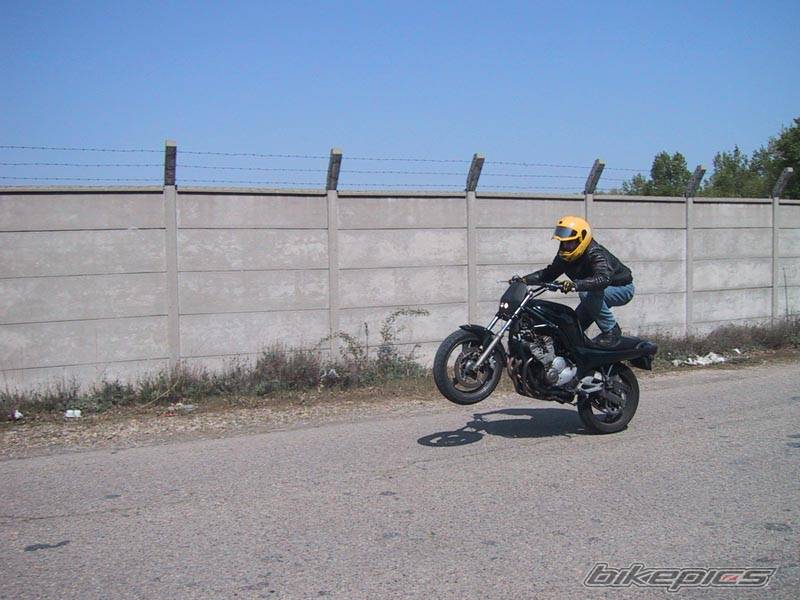 Photo 23894