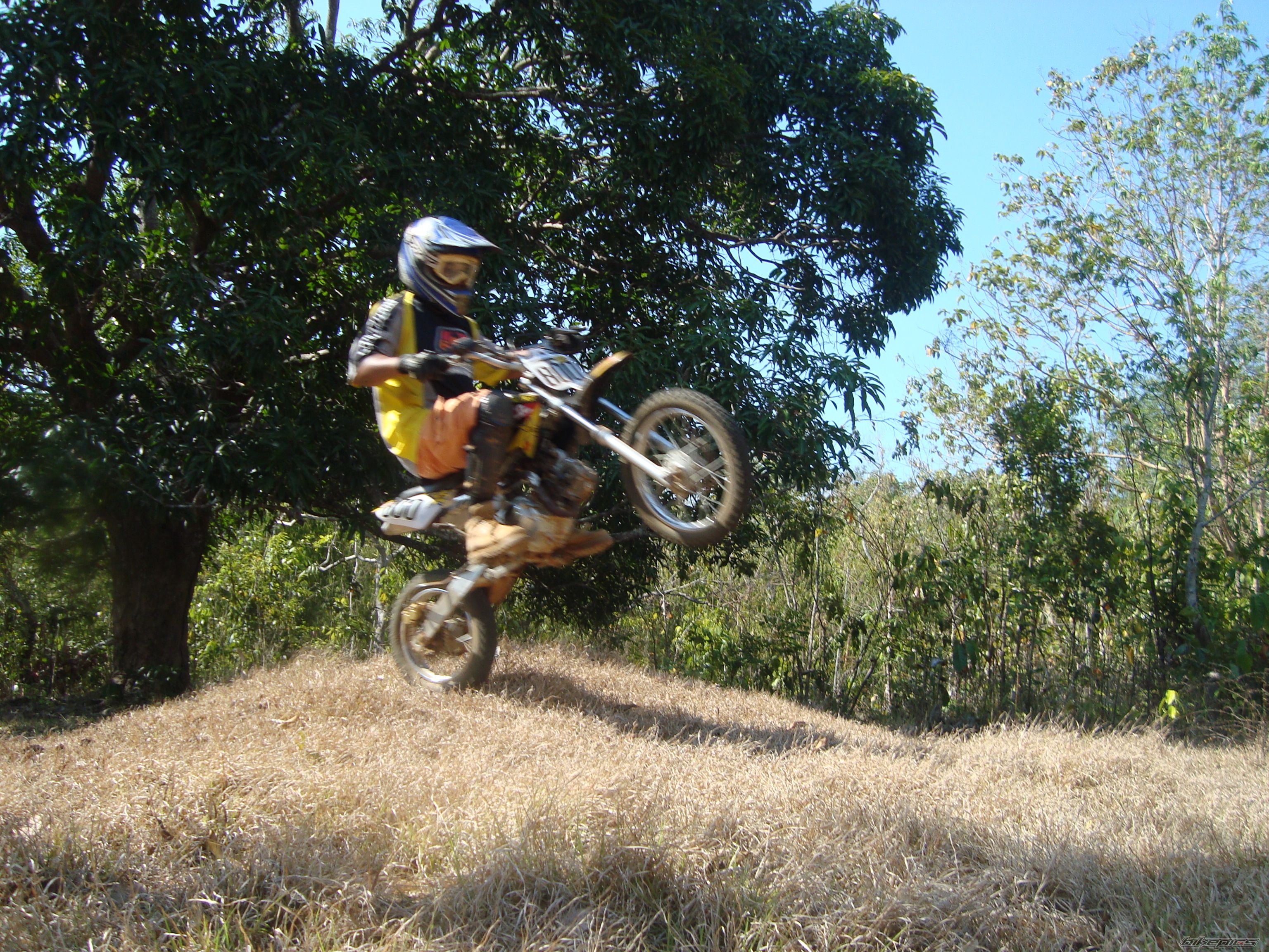 Photo 2389401