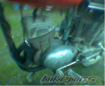 Bike Photo 238943