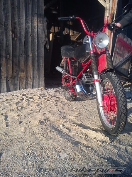 Photo 2389433