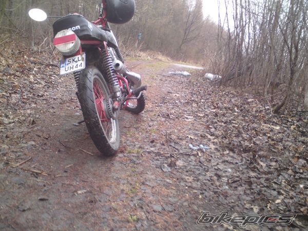 Photo 2389442