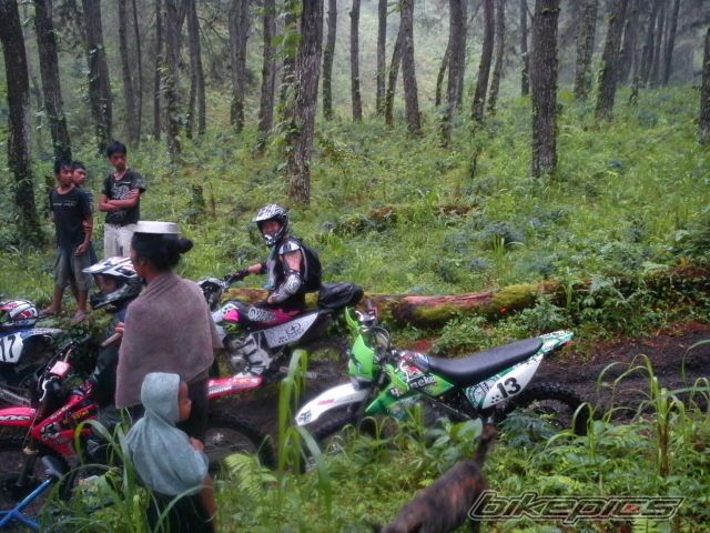 Photo 2389472