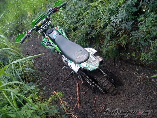 Photo 2389473