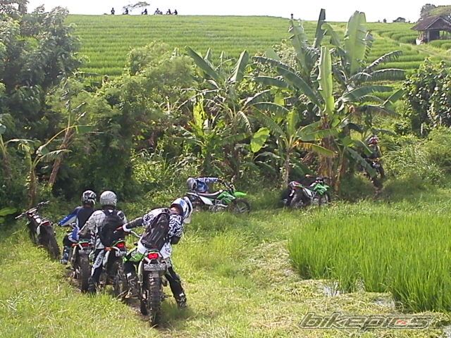 Photo 2389478