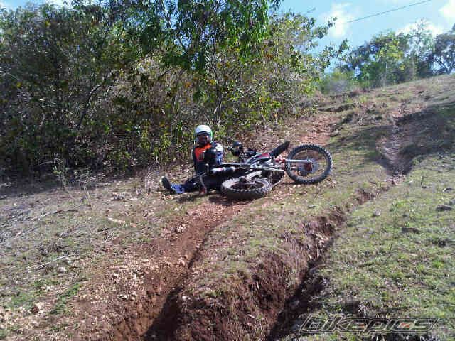 Photo 2389481