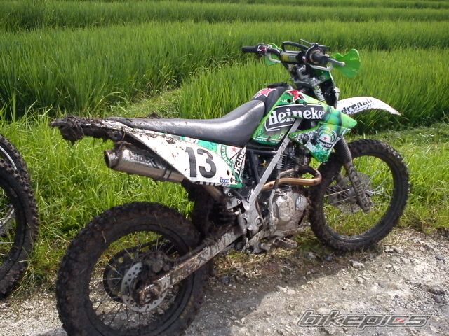 Photo 2389482