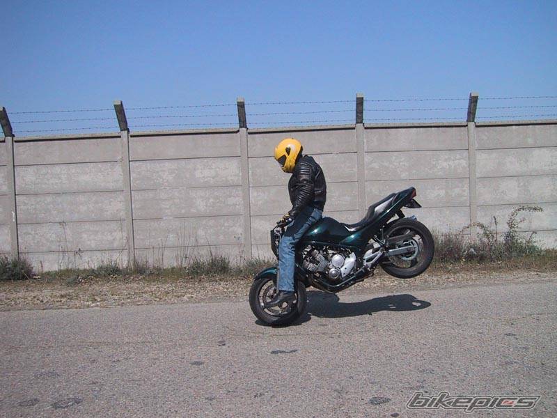 Photo 23895