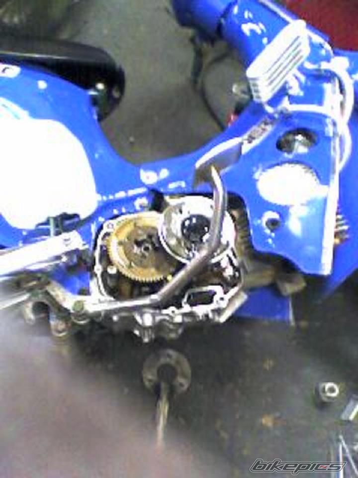Bike Photo 2389504