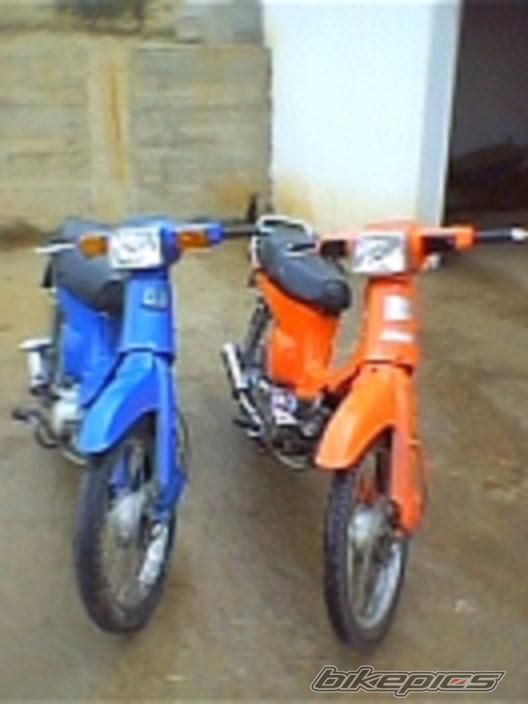 Photo 2389505