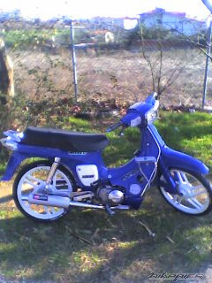 FR50