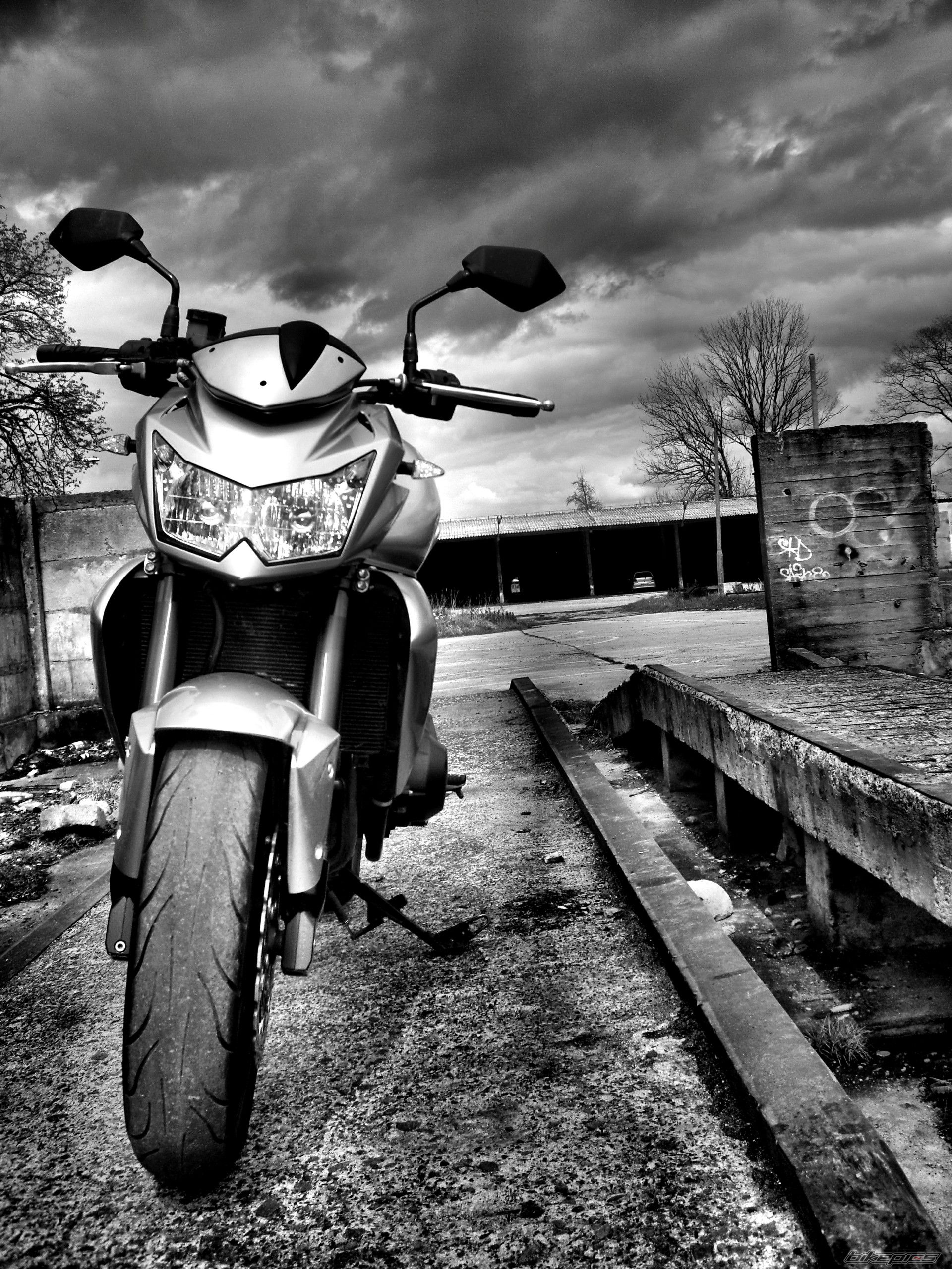 Photo 2389527