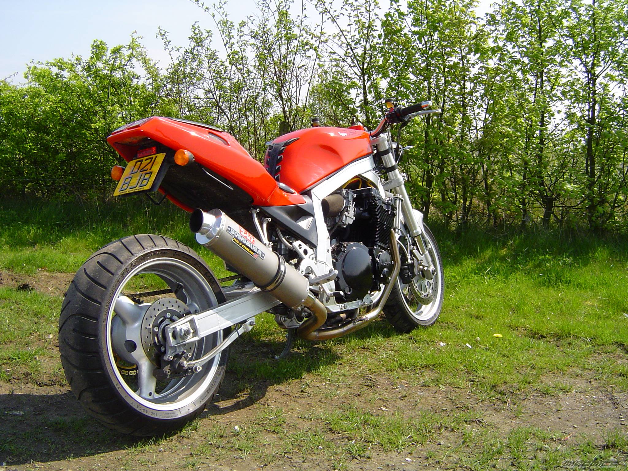 Photo 238973