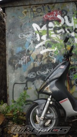 Photo 2389745