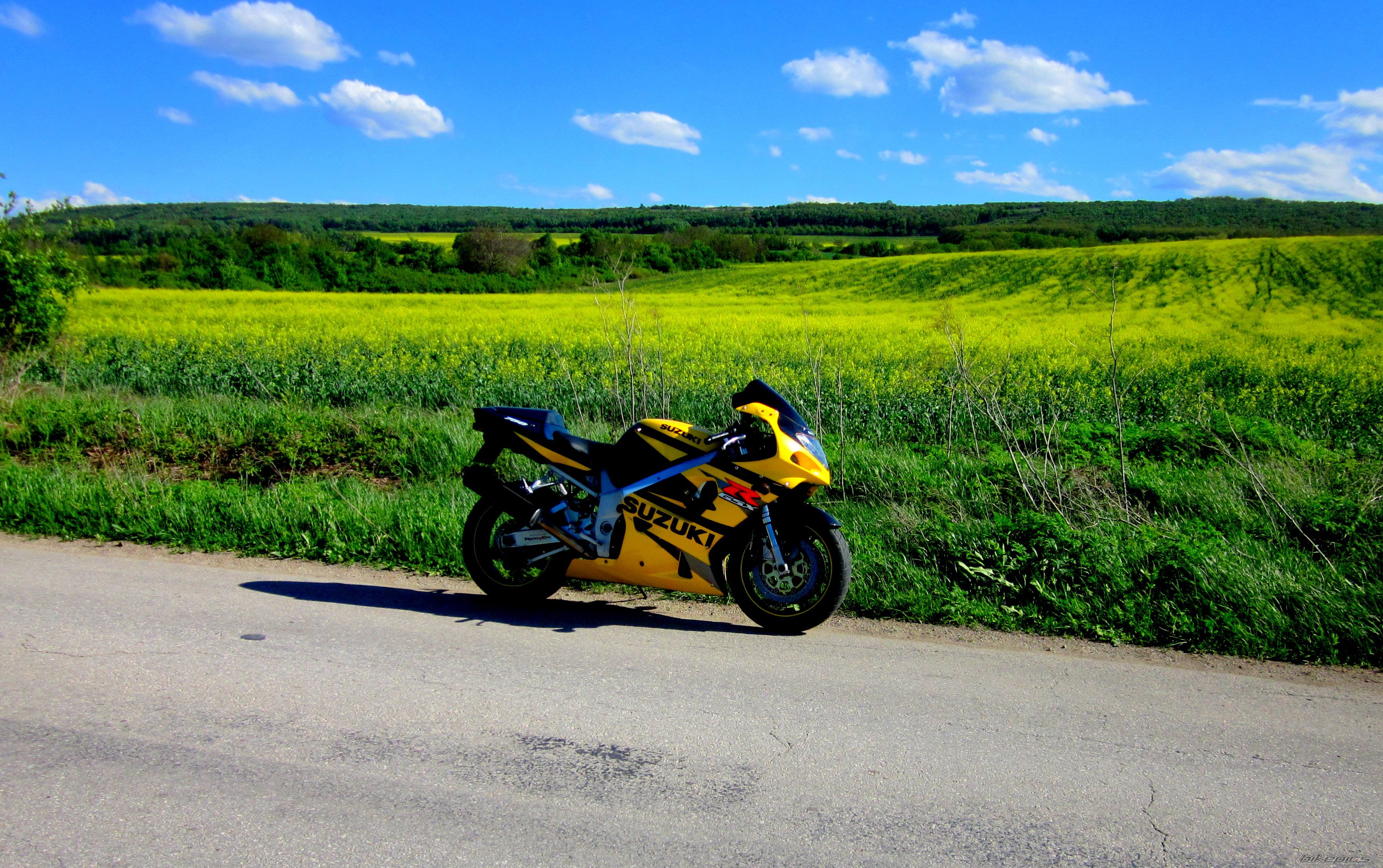 Photo 2389811