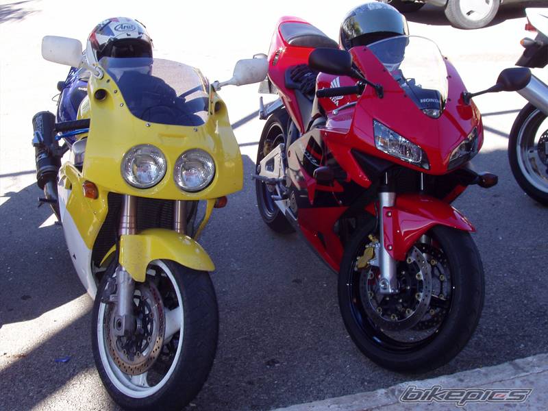 Photo 238983